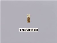 藏品(暗良苔蛾)的圖片